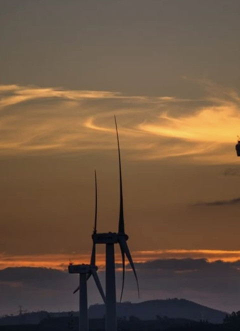 Presidente da APA afirma que renov&aacute;veis ajudam a mitigar impacto da crise energ&eacute;tica em Portugal